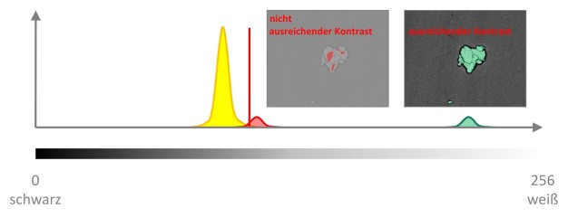 Bild 14: Festlegen eines Schwellwertes für die mikroskopische Analyse einer automatisierten Partikelauszählung.