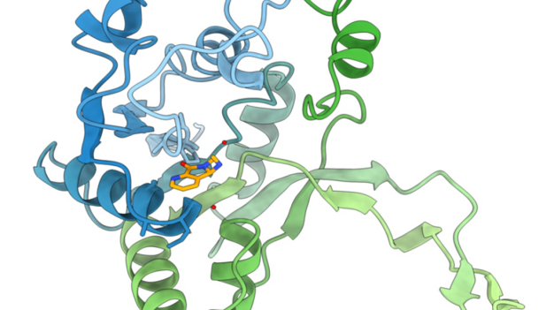 3D-Modell der Interaktion zwischen dem Enzym IspD aus Pseudomonas aeruginosa und einem der entwickelten Inhibitoren. / 3D model of the interaction between the enzyme IspD from Pseudomonas aeruginosa and one of the developed inhibitors. 