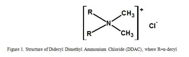 Structure of (A) didecyl dimethyl ammonium chloride (DDAC) and (B)