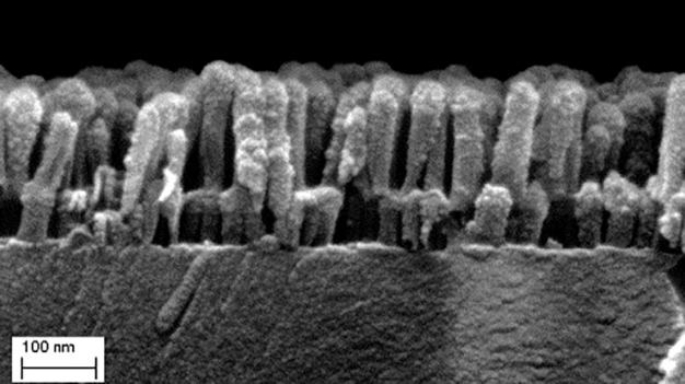 Rasterelektronenaufnahme einer Nanostruktur. © Fraunhofer IOF / Scanning electron image of a nanostructure. © Fraunhofer IOF