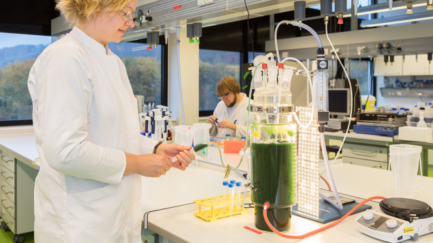Das Studium der Angewandten Biotechnologie umfasst viele Laborpraktika. (Foto: HBC/Stefan Sättele)