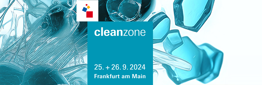 cleanzone 2024